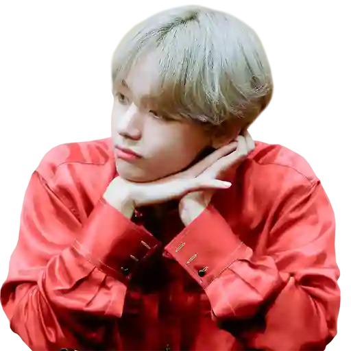 kpop Stickers Memes